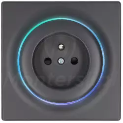 FGWSONE-011-8 - Gniazdo 230 V AC typu E