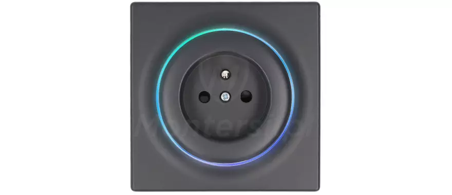 FGWSONE-011-8 - Gniazdo 230 V AC typu E