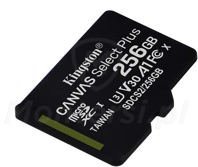 Karta SD Kingston 256GB SDCS2 CLASS A1