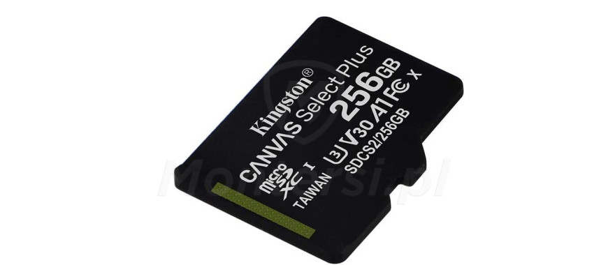 Karta SD Kingston 256GB SDCS2 CLASS A1