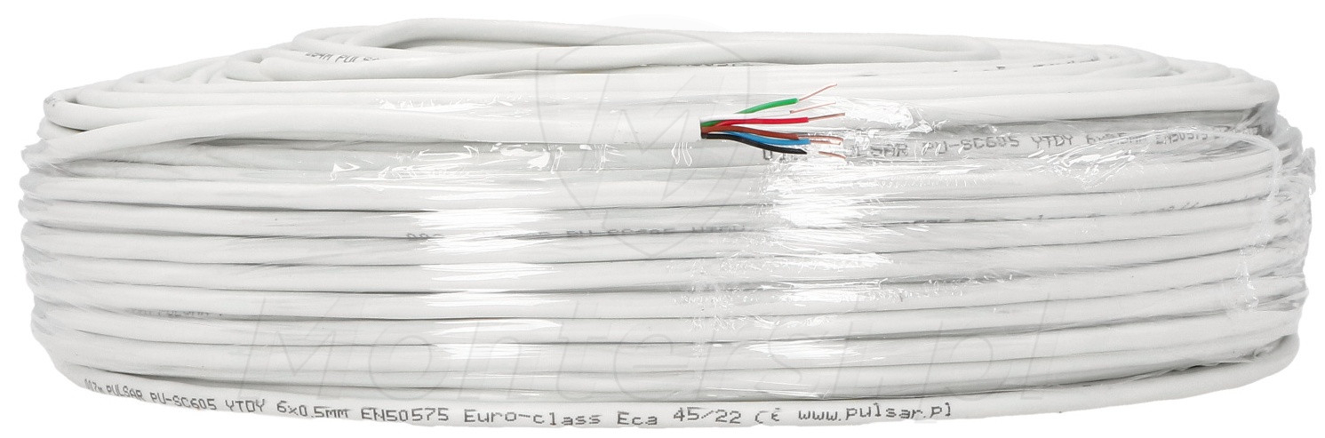 L'addestramento Del Cavallo Segue La Recinzione Delle Penne Fotografia - Foto 10