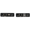Gniazda HDMI przedłużacza BCS-UTP-KVM-1080p Gniazda HDMI przedłużacza BCS-UTP-KVM-1080p