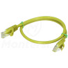 Patchcord U/UTP kat.6, długość 0.5m - żółty