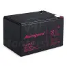 12 Ah / 12 V - Akumulator CJ12-12 (T2)