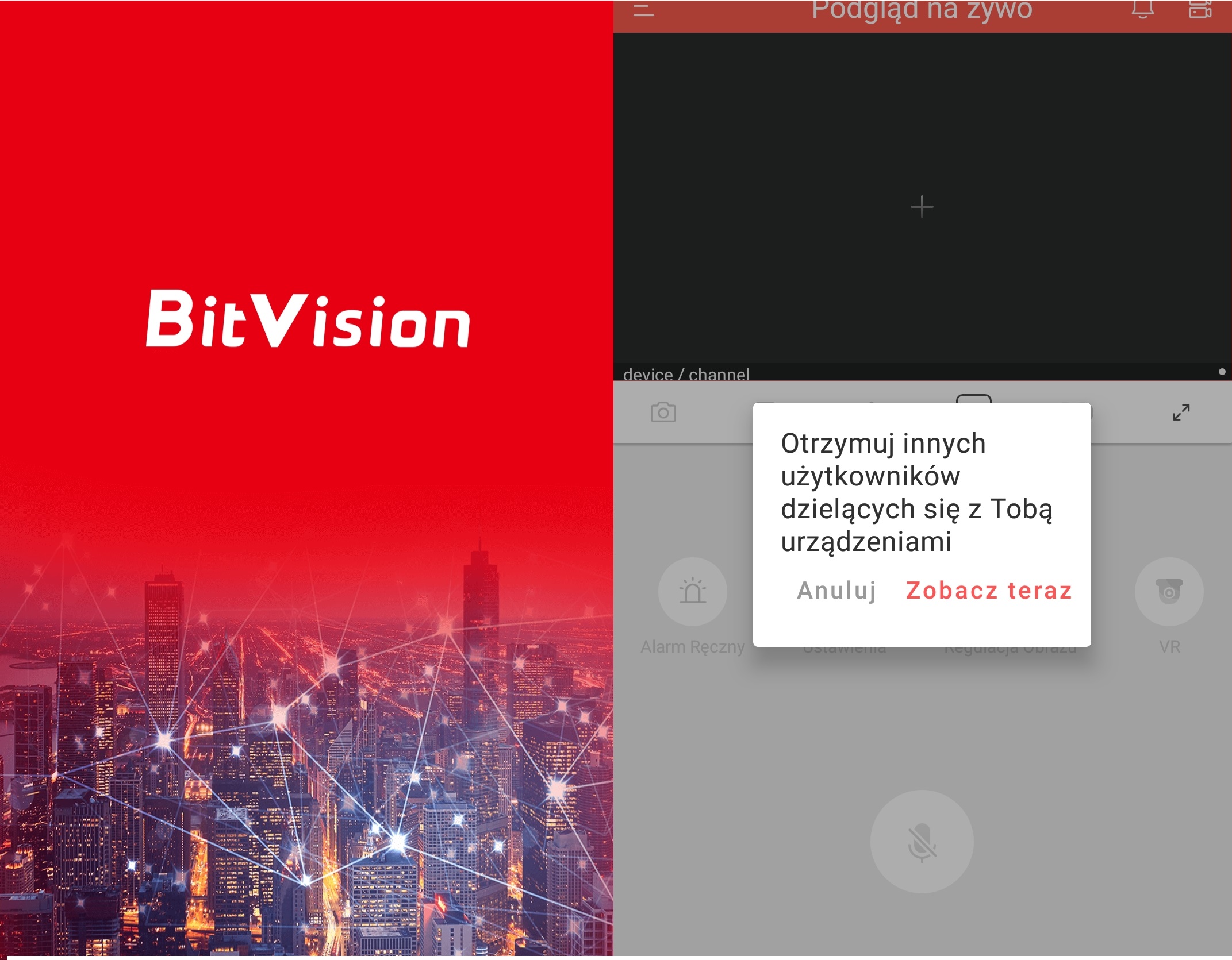 bitvision