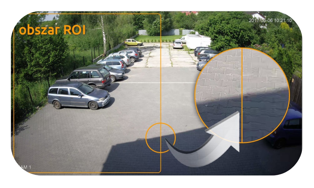 obszar roi - zbliżenie.jpg