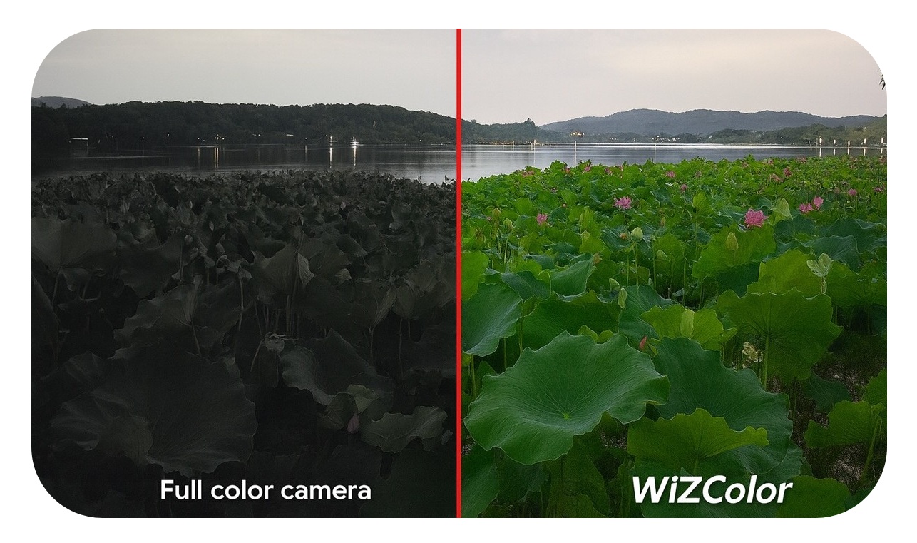 wizColor-1.jpg
