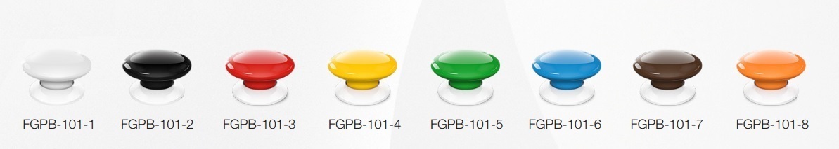 FGPB 101 wersje kolorystyczne