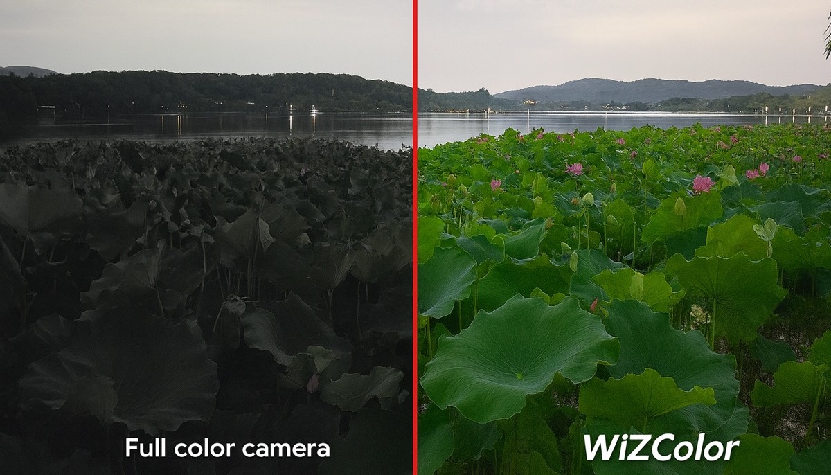 wizColor.jpg