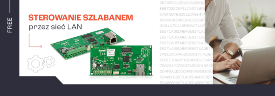 Wejścia IP, czyli jak utworzyć w Windows skrypt do sterowania wyjściami centrali Integra?