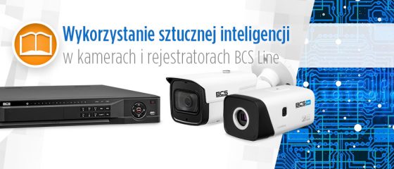 BCS Line AI: Wprowadzenie